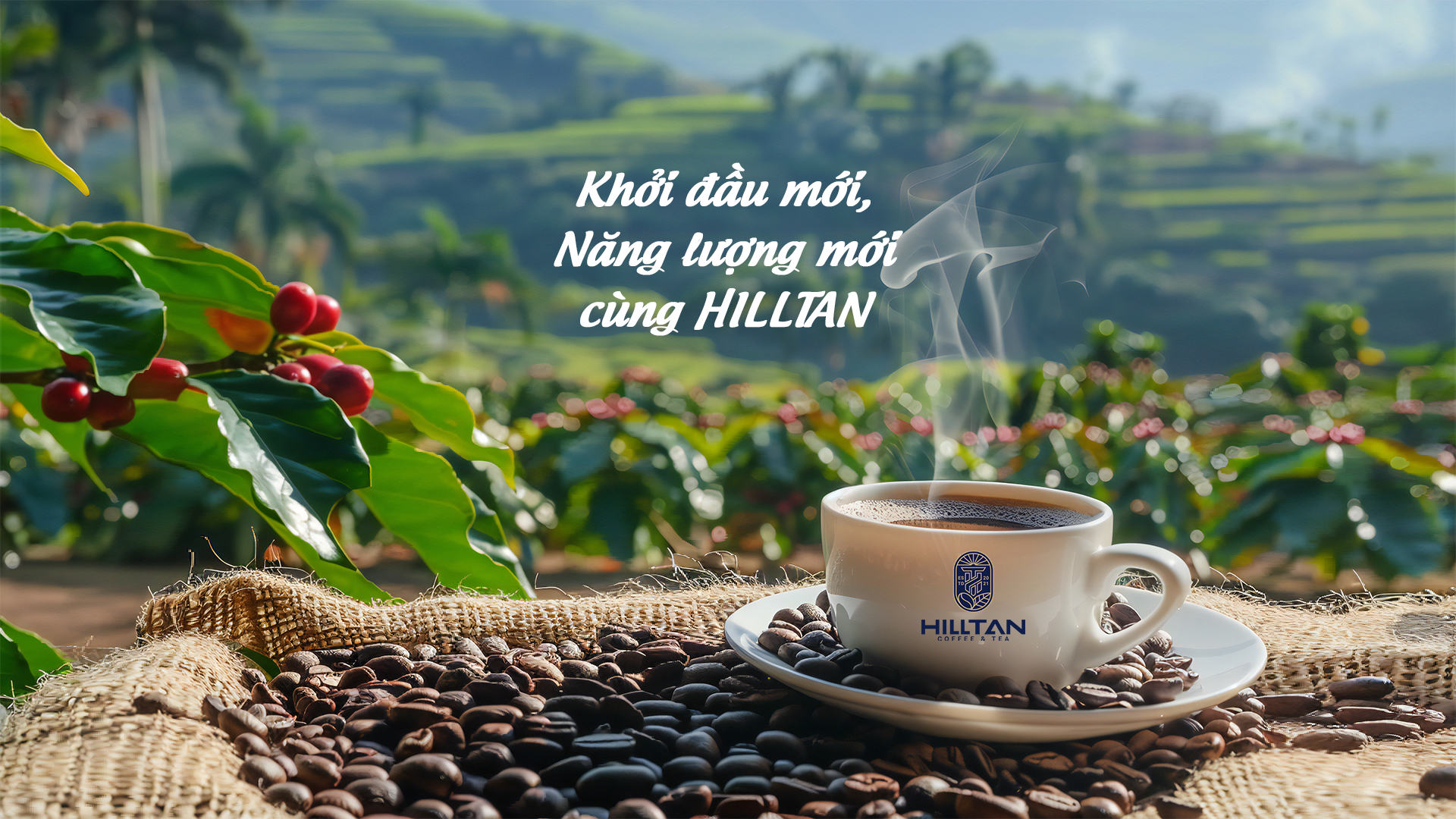 Khởi đầu mới, Năng lượng mới cùng HILLTAN