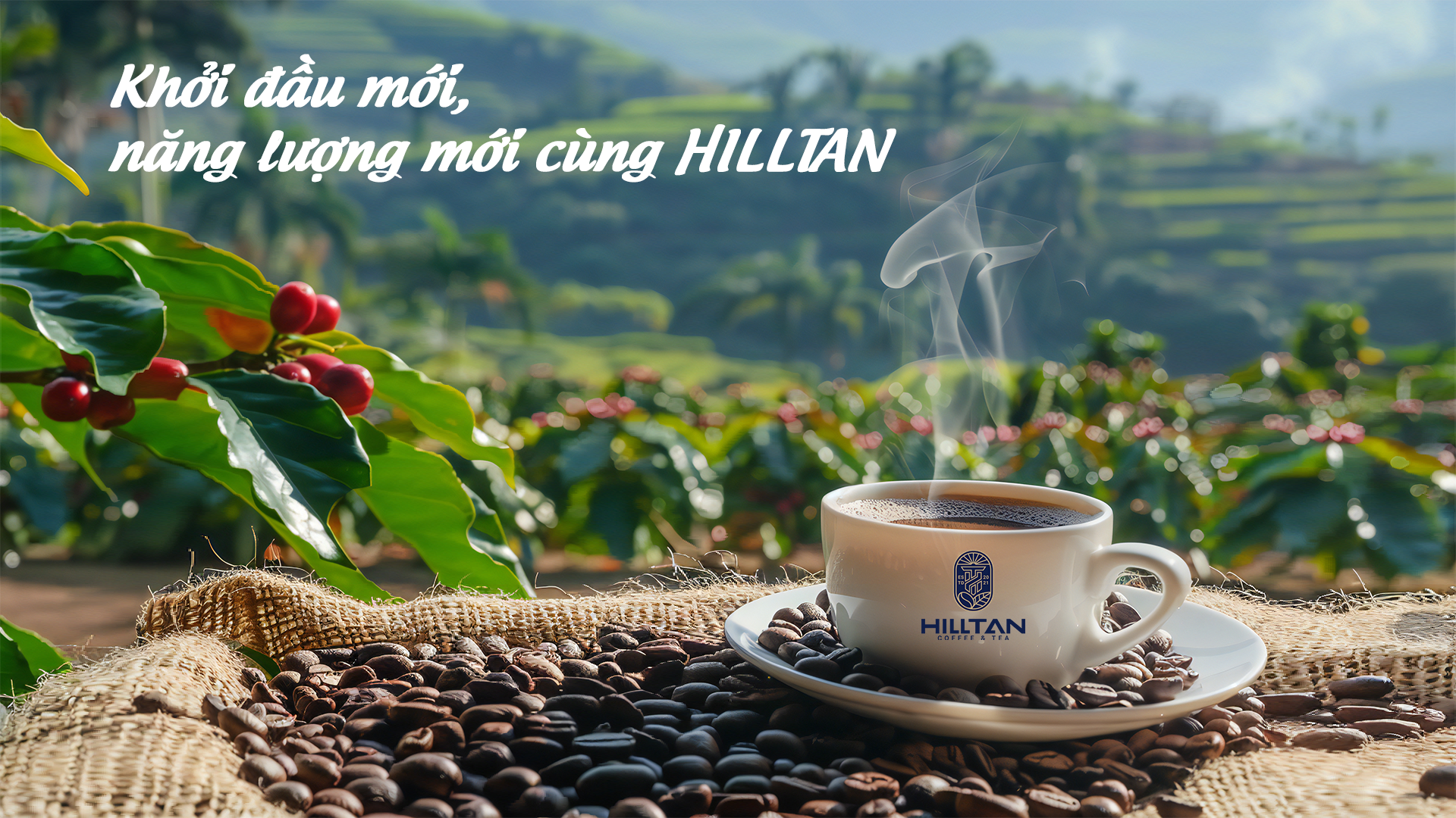 HILLTAN COFFEE & TEA - TRÀ & CÀ PHÊ